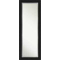 20" x 54" Non-Beveled Eva Black Silver Full Length on The Door Mirror - Amanti Art: Over-the-Door Hanging